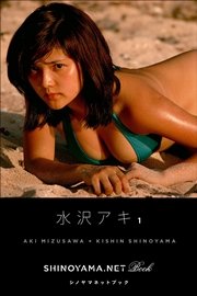 ߥå⥢㤨ֿ1 [SHINOYAMA.NET Book]פβǤʤ864ߤˤʤޤ