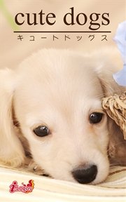 ߥå⥢㤨cute dogs27 åեɡפβǤʤ378ߤˤʤޤ