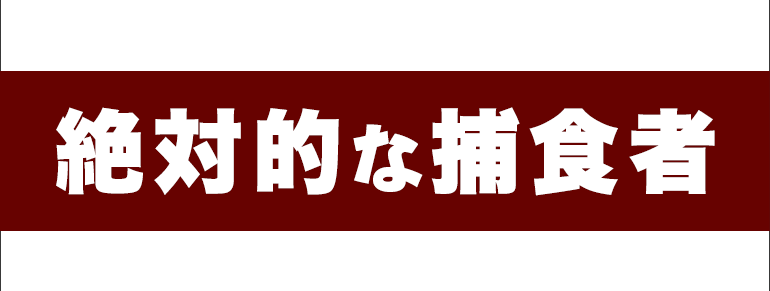 コマ画像