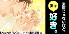 素直じゃないけど、実は好き。ツンデレBL