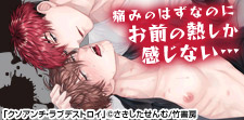 ハラハラ&ボッコボコの殴り愛BL!