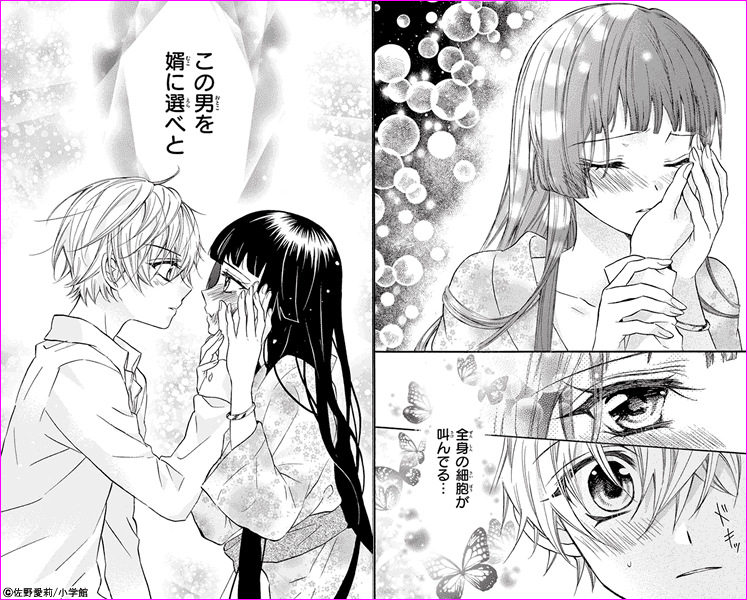 仁義なき婿取り