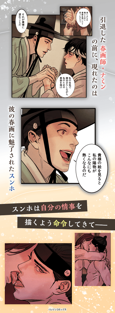 BL漫画セット 新品未開封② One Piece Boa Hancocj Ii ワンピース 111巻全巻セット