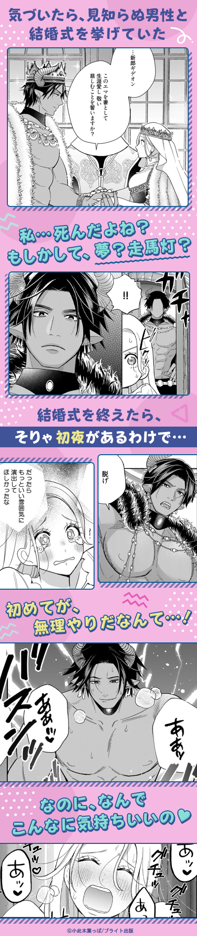 転生した悪役令嬢はHしないと死ぬ運命～敵国王と篭絡結婚～【コミックス版】