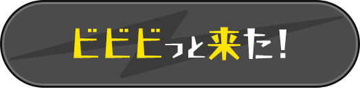 ビビビっと来た