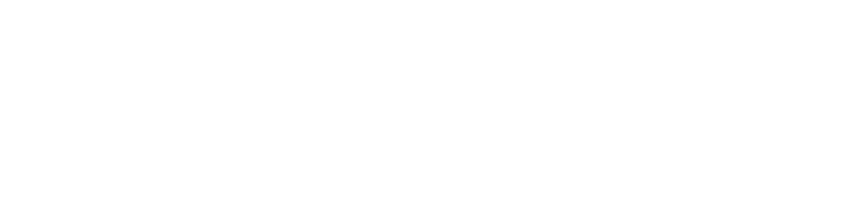 指令