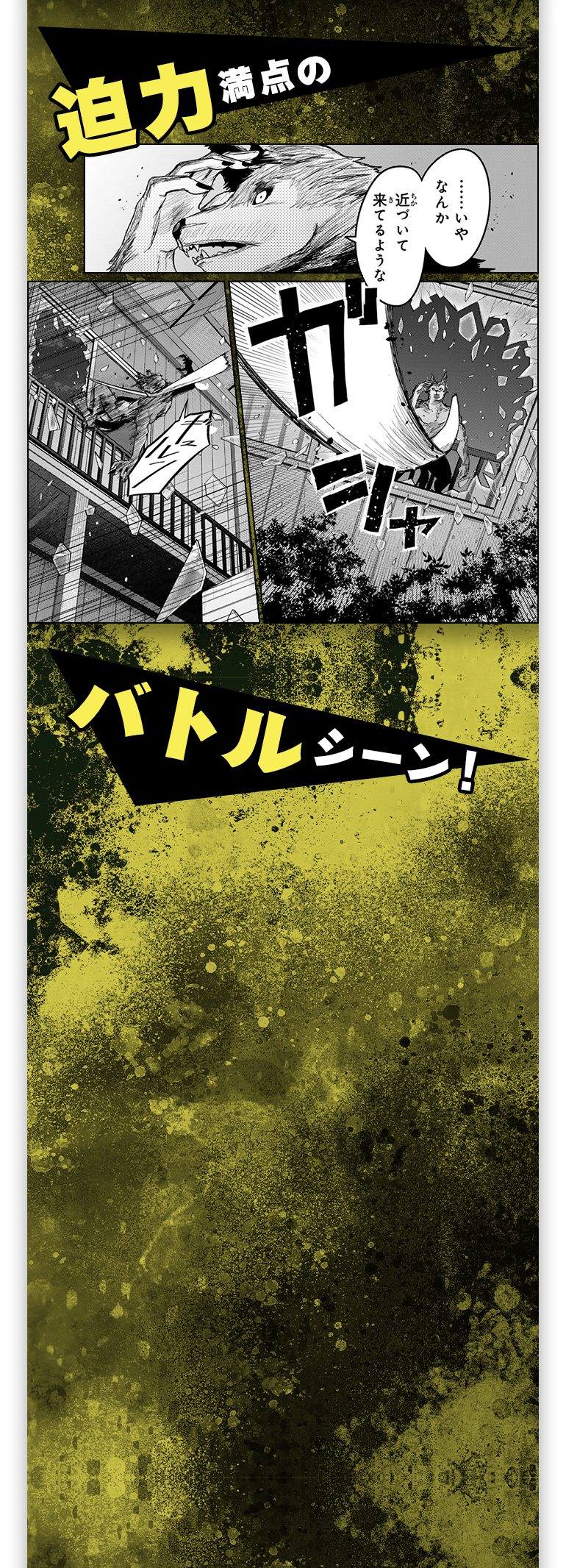 見どころ紹介