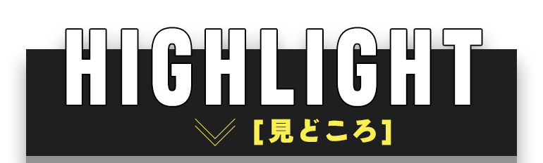 見どころ