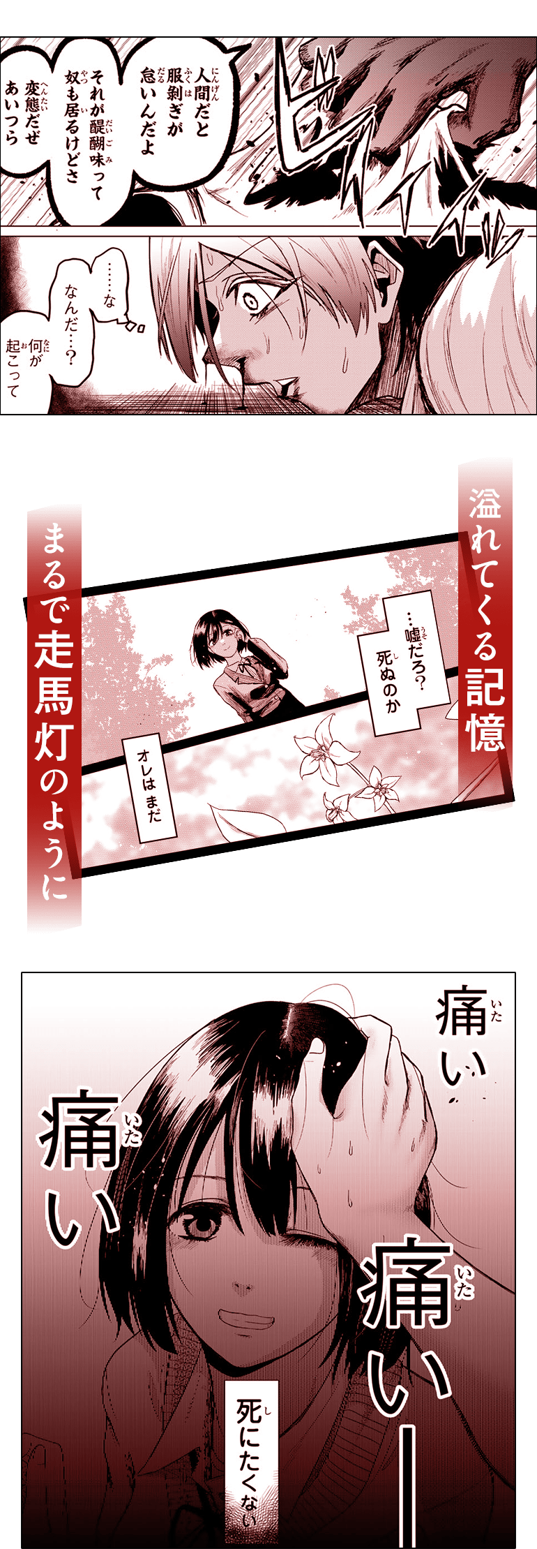 コマ画像