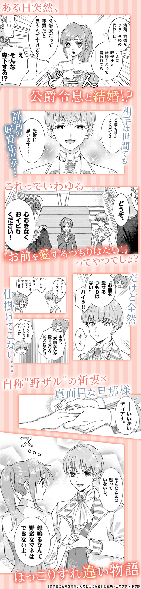 愛するつもりなぞないんでしょうから