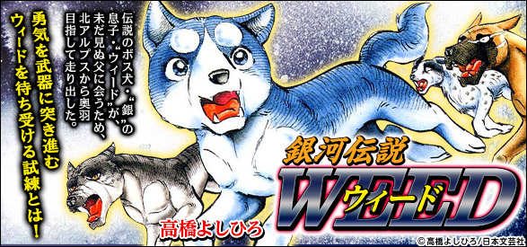 銀牙伝説ウィード 7