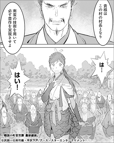 戦国小町苦労譚 シリーズ累計100万部突破記念 21年7月12日開始 漫画 まんが 電子書籍のコミックシーモア