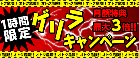 月額メニューが超お得!!