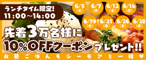 お昼ご飯もシーモアといっしょ