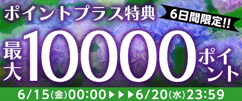 ポイントで買うと超お得!!