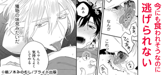コマサム