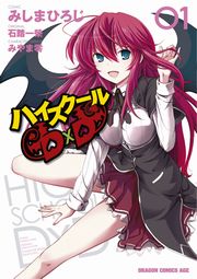 ハイスクールd×d  小説+漫画全巻