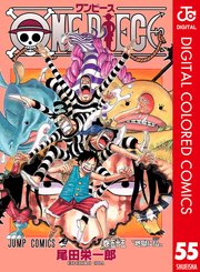 One Piece カラー版 55巻 無料試し読みなら漫画 マンガ 電子書籍のコミックシーモア