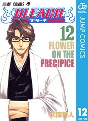 Bleach モノクロ版 12巻 週刊少年ジャンプ ジャンプコミックスdigital 久保帯人 無料試し読みなら漫画 マンガ 電子書籍のコミックシーモア