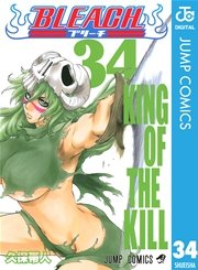 Bleach モノクロ版 34巻 週刊少年ジャンプ ジャンプコミックスdigital 久保帯人 無料試し読みなら漫画 マンガ 電子書籍のコミックシーモア
