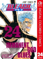 Bleach カラー版 24巻 無料試し読みなら漫画 マンガ 電子書籍のコミックシーモア