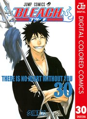 Bleach カラー版 30巻 週刊少年ジャンプ ジャンプコミックスdigital 久保帯人 無料試し読みなら漫画 マンガ 電子書籍のコミックシーモア