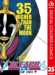 Bleach カラー版 35巻 無料試し読みなら漫画 マンガ 電子書籍のコミックシーモア
