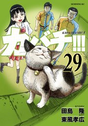 カバチ カバチタレ 3 29巻 モーニング 東風孝広 田島隆 無料試し読みなら漫画 マンガ 電子書籍のコミックシーモア