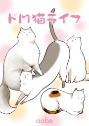 ドｍ猫ライフ単行本 1巻 最新刊 無料試し読みなら漫画 マンガ 電子書籍のコミックシーモア