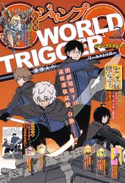 Site image of the bookmark