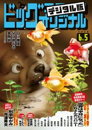 ビッグコミックオリジナル 年11号 年5月日発売 無料試し読みなら漫画 マンガ 電子書籍のコミックシーモア