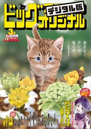 ビッグコミックオリジナル増刊 2025年3月増刊号(2025年2月12日発売 ビッグコミックオリジナル増刊 2025年3月増刊号(2025年2月12日発売