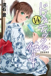 ドメスティックな彼女 特装版 14 1巻 最新刊 無料試し読みなら漫画 マンガ 電子書籍のコミックシーモア