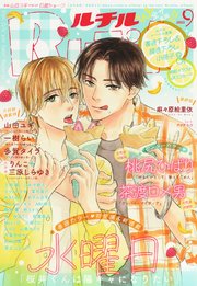 ゆきページ ののじ ネイキッド キャベツピーラー ダブルグレー |キッチン