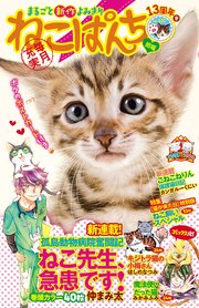 ねこぱんち No 157 13周年号 無料試し読みなら漫画 マンガ 電子書籍のコミックシーモア