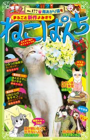 ねこぱんち No 177 雨あがり猫号 最新刊 無料試し読みなら漫画 マンガ 電子書籍のコミックシーモア ねこぱんち No 177 雨あがり猫号 最新刊 無料試し読みなら漫画 マンガ 電子書籍のコミックシーモア