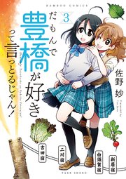 だもんで豊橋が好きって言っとるじゃん 3巻 バンブーコミックス まんがライフ 佐野妙 無料試し読みなら漫画 マンガ 電子書籍のコミックシーモア