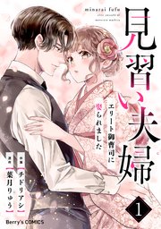 見習い夫婦～エリート御曹司に娶られました～1巻 ｜無料試し読みなら漫画（マンガ）・電子書籍のコミックシーモア