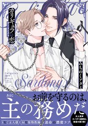 全て新品未読◆ほぼ初版◆15冊セット◆blコミックまとめ売り◆カリギュラの恋 カリギュラの恋 コミック 全2冊セット | みちのくアタミ |本