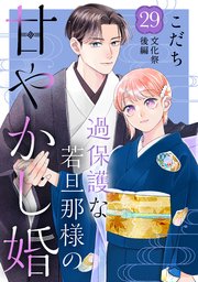 過保護な若旦那様の甘やかし婚 ［comic tint］ 分冊版（29