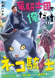 竜騎士団で俺だけネコ騎士 サラリーマン磯辺 飼い猫ツミレと異世界暮らし 1巻 トライゾン 尾瀬ハルカ 無料試し読みなら漫画 マンガ 電子書籍のコミックシーモア