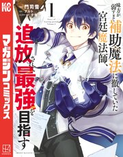 味方が弱すぎて補助魔法に徹していた宮廷魔法師、追放されて最強