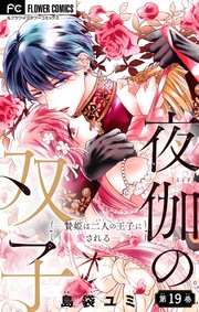 夜伽の双子―贄姫は二人の王子に愛される―【マイクロ】