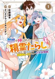 無能と呼ばれた 精霊たらし 実は異能で 精霊界では伝説的ヒーローでした Comic 1巻 最新刊 Magcomi マッグガーデンコミックス Beat Sシリーズ 佐藤謙羊 タバタグランドキャニオン 無料試し読みなら漫画 マンガ 電子書籍のコミックシーモア