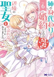 姉の身代わりで婚約したら何故か辺境の聖女と呼ばれるようになりました 他 計19冊 姉の身代わりで婚約したら何故か辺境の聖女と呼ばれるようになり