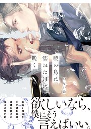 BL 国宝級イケメン俳優の俺がAVに出るなんて 暁の鳥は