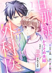 偉大な 旦那様はエリート外科医～かりそめ夫婦なのに溺愛されてます 全巻セット