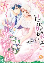 旦那様はエリート外科医～かりそめ夫婦なのに溺愛されてます～4 旦那様はエリート外科医～かりそめ夫婦なのに溺愛されてます～4