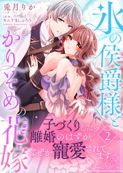 年末のプロモーション大特価！ 氷の侯爵様とかりそめの花嫁～子づくりしたら離婚のはずが、なぜ 冷却用品