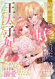 結婚前日に「好き」と言った回数が見えるようになったので、王